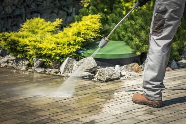 Best Spring Cleaning  in Belmond, IA